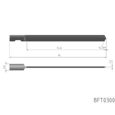 BFT0300240