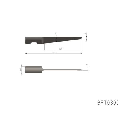 BFT0300245